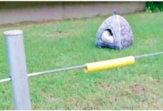 Woman Spots Odd Shape In Park Field, Cries Out As She Puts Her Hand Inside