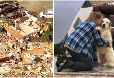 Mom & Dog Overwhelmed With Emotion Day After Tornado Tore Them Apart