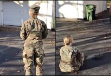 Soldier’s Homecoming Ruined When Dog Runs Away, She Sat Down & Said His Name