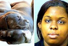 Woman Locks Dogs & Goes On Vacation, Returns & Dumps Their Dead Bodies In Trash