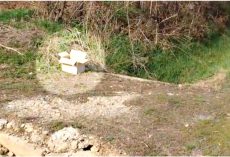 They Weren’t ‘Worthy’ So They Slept In Box On A Country Road, Longing To Be Held