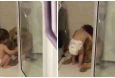 Diapered Toddler Comforts Frightened Golden Retriever During Thunderstorm