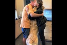Dog Overcome With Jealousy When People Hug Without Him So He Forces Himself In