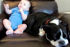 Mom Realizes Baby Is About To Release A Loud Fart, But She Doesn’t Warn Her Dog