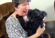After Weeks Of Separation, Elderly Woman Tearfully Reunites With Her Missing Dog