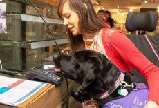 Assistance Dog Helps Disabled Lady By Taking Care Of The Entire Payment Process
