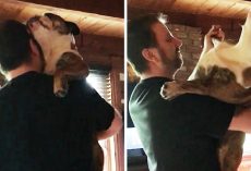 Dad Plays Their Special Song & Dog Comes Running For A “Father-Daughter Dance”