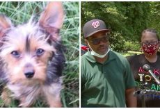 Car With Dog Inside Stolen From Family Visiting Grave Of Deceased Father