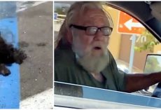 Man Throws His Dead Dog Out Of Car Window In A Walmart Parking Lot