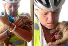 Cyclist Finds Puppy Dumped In A Desert, She Lifts The Puppy But Puppy Goes Limp
