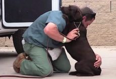 Puppy Mill Dog Was Headed For Euthanasia Table, But An Inmate Hugged Her Tight
