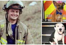 After Firefighter’s Adopted Pup Is Tragically Killed, He Honors His Legacy