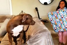 Rescue Dog Runs To Thank Little Girl For Getting Her The 1st Present In Her Life