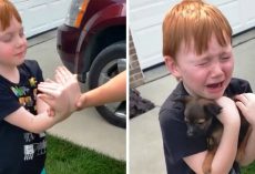 Boy Was Saving Up To Buy Puppy, Grandma Asks Him To Close His Eyes & Stretch His Arms