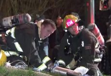 Small Fire Turns Into Disaster When Firefighters Find Dog Clinging To His Life