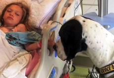 Girl With Rare Genetic Disease Was Wasting Away, Then She Locked Eyes With A Dog