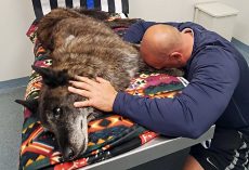 Officer Says His Final Goodbye & Mourns The Loss Of His Beloved K9 Partner