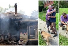 Passerby Breaks Into Stranger’s Burning Home To Save His Sleeping Dog