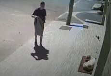 Stranger Gives Homeless Dog A Blanket Along With A Moment Of Affection