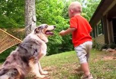 Mom & Dad Panic As Dog Pounces On Baby In The Yard, Then They See Baby’s Foot