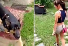 Dog Was Kept Out In Freezing Cold All His Life, Woman Shows Him Meaning Of Love