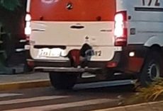 Loving Dog Hops On Back Of Ambulance To Ride Along With Owner To The Hospital