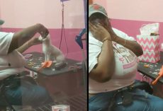 Groomer Who Recently Lost Her Dog Is Unaware Her Current Client Is Her New Pet