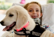 Puppy Makes Little Girl Smile Again After Multi-Vehicle Car Crash Paralyzes Her