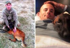 Soldier Suffers From PTSD Upon Return, Only His Old Military Dog Can Save Him