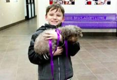 Little Boy Shows Heart By Choosing Oldest Dog In The Shelter Whom No One Wanted
