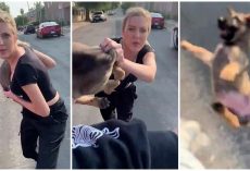 Unhinged Lady Hurls Puppy At Man During Racist Rant, Man Decides To Keep Him