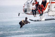 Italian Lifeguard Dogs Courageously Jump Out Of Helicopters To Save Countless Lives