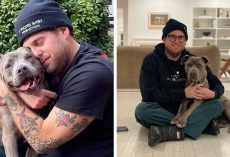 Actor Jonah Hill Expresses His Joy After Adopting A 3-Year-Old Doggy, Gets Praised by 336K People On Instagram
