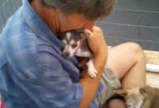 Volunteer Sits In Cage With Dog Who’d Never Felt A Human’s Touch