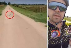 Little Puppy Stranded On Her Own Meets Her Hero In The Middle Of Nowhere