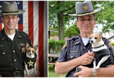 Tiny Police K-9 Dies Of A Broken Heart Just Hours After Her Handler Passes Away