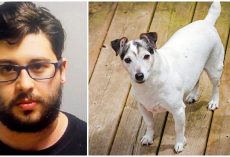 Man Abandons His Dog Twice In 2 Days Because ‘He’s Old And Pees Everywhere’