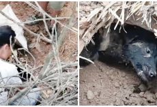 Landslide Victims Hear Cries Of Help Deep Within The Earth & Start Digging