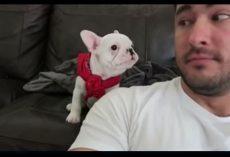 He Tells His Puppy How Handsome He is– His Puppy’s Reply Couldn’t Be Cuter