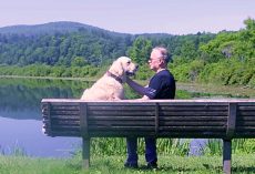 Grieving Man Found Salvation In An Abandoned Dog – Gave Each Other Purpose