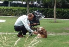 Man Takes Dog Out Of Stroller, Bends Down To Him Thinking No One’s Watching