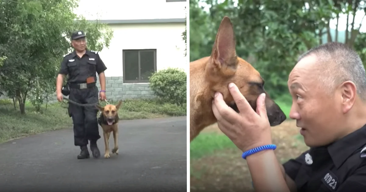 Cop Finds K9s Neglected In Their Retirement, Spends His Savings To Care For Them