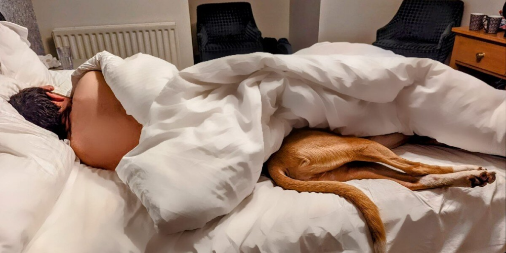 Woman Wakes Up To Hilarious ‘Dog Optical Illusion’ In Bed