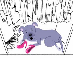 If Dogs Could Apologize… LOL!