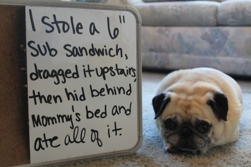 I like eating my subs in peace too, don't see the problem with this.