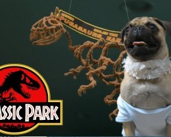 Pugassic Bark: Jurassic Park (Cute Pug Puppy Edition)