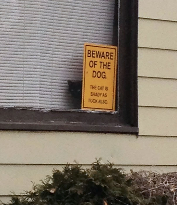 Beware Of The Dog Beware Of The Dog
