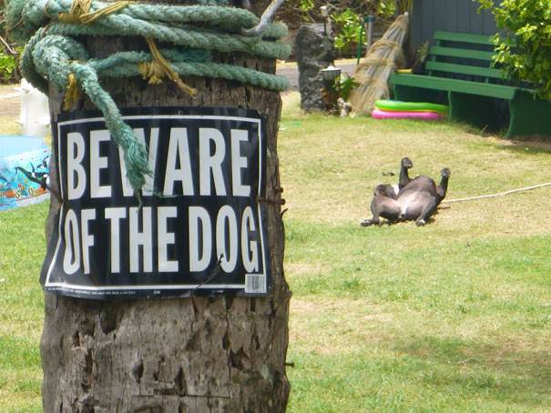 Beware Of The Dog Beware Of The Dog