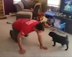 [Video] Dog Helps Her Dad With His Work-Out Routine In The Most Hilarious Way