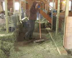 A farmer set his camera to record and captured THIS — Now millions of people absolutely love him